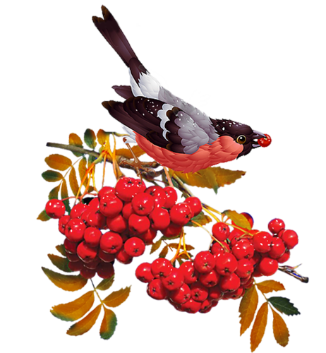 őszi állatok_27.png